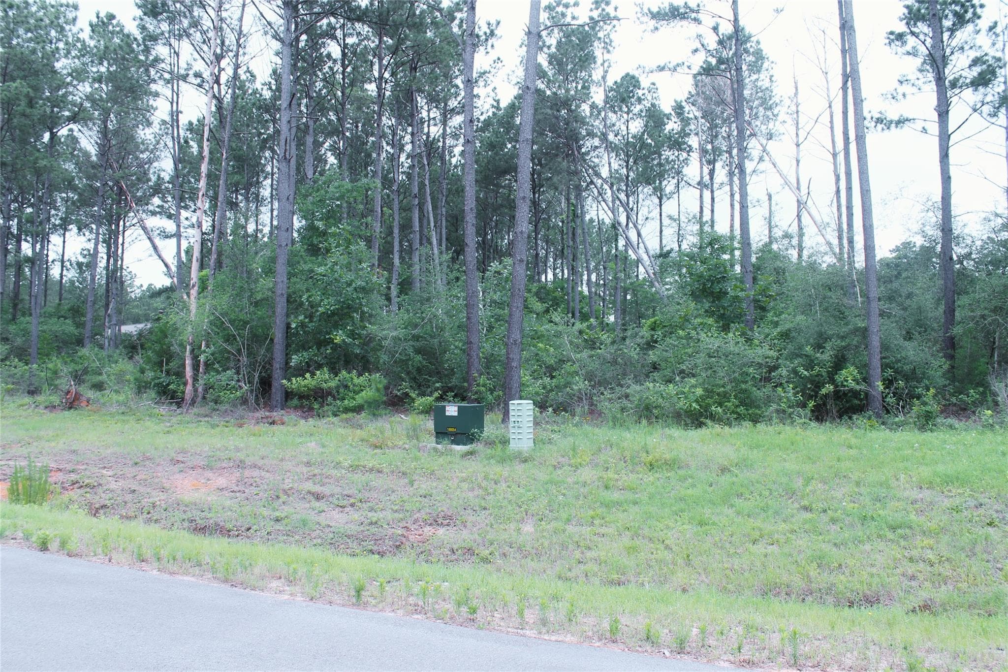 Gallery image 4