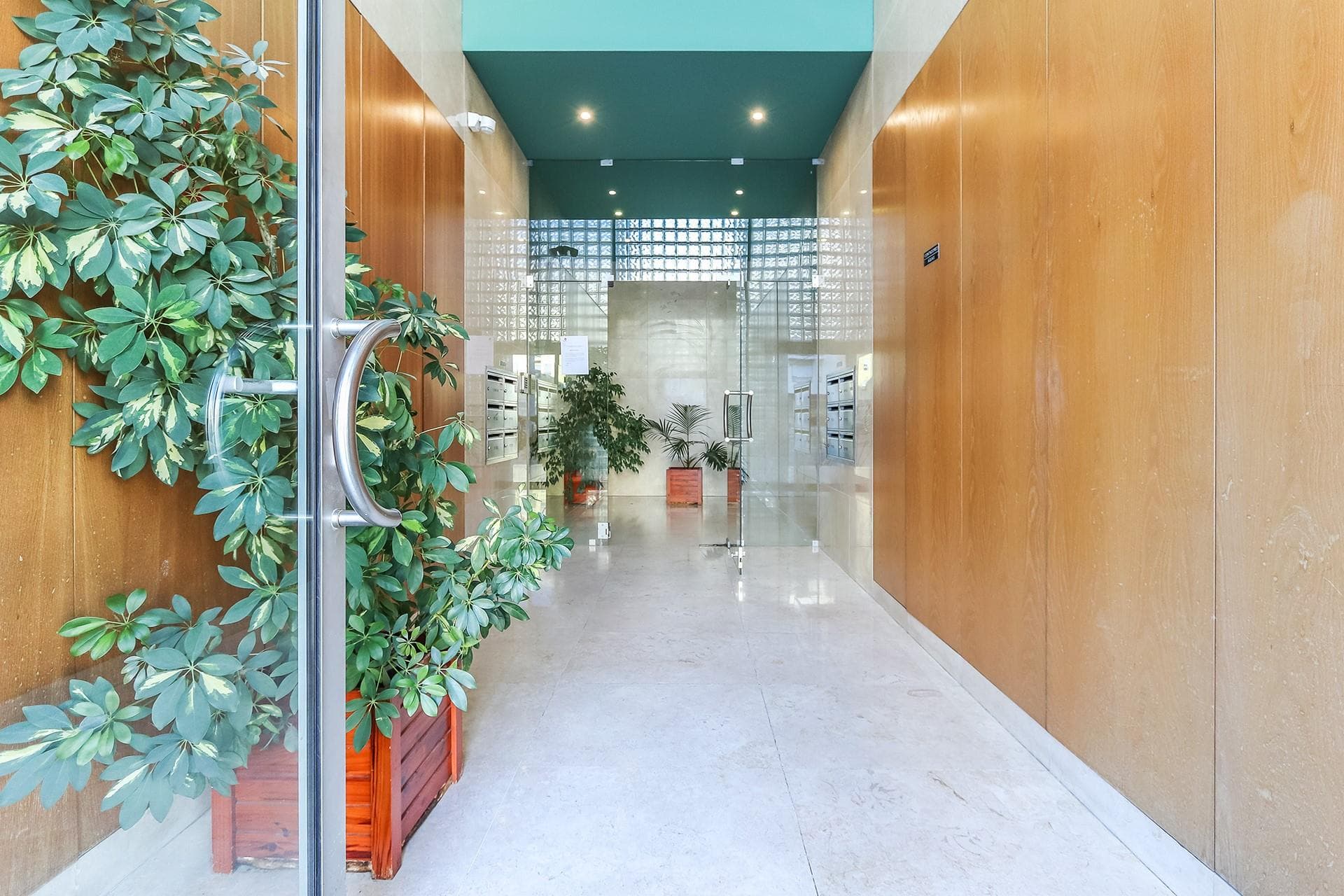 Gallery image 2
