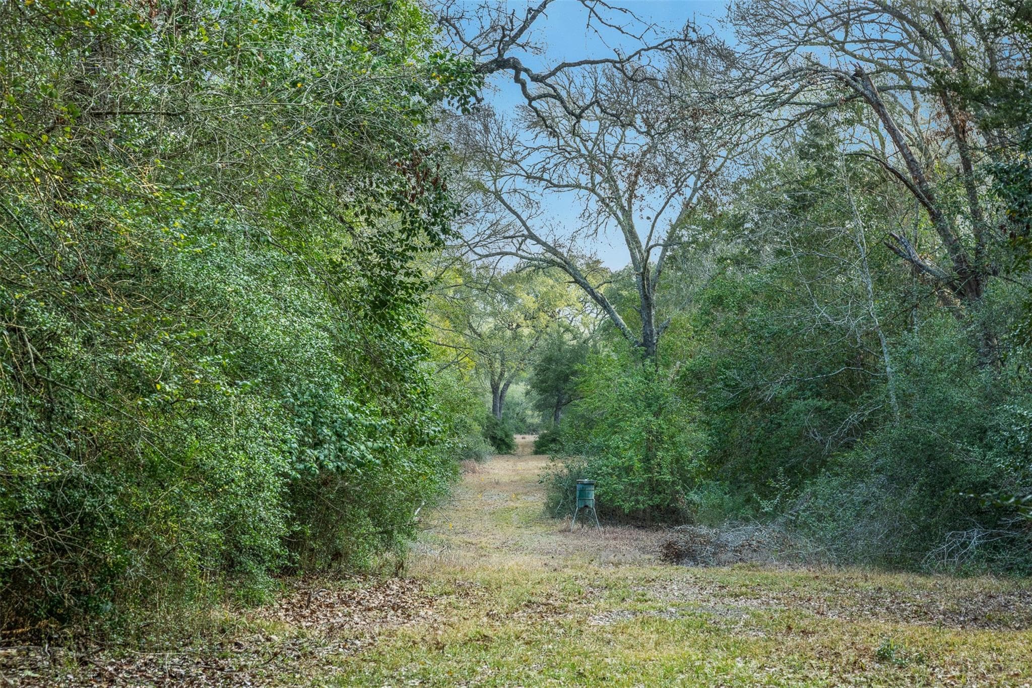 Gallery image 3