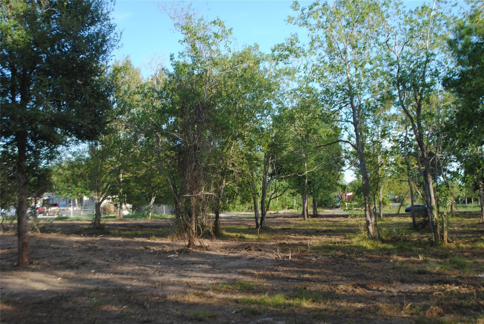Gallery image 4