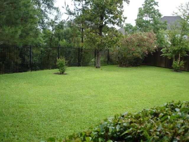 Gallery image 5