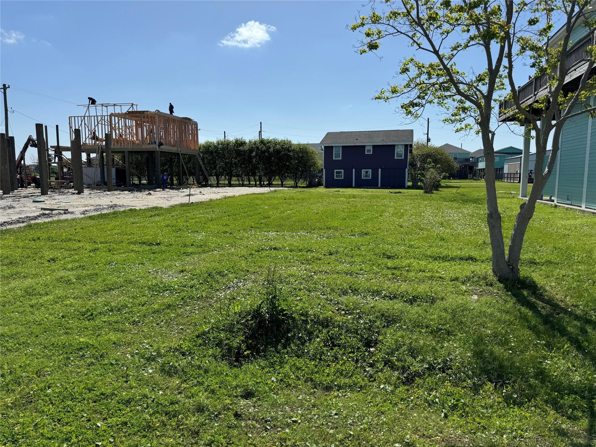 Gallery image 5