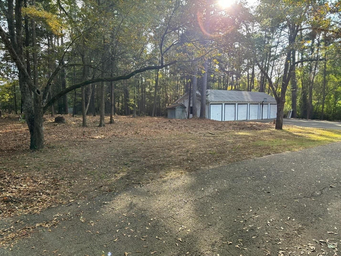Gallery image 4