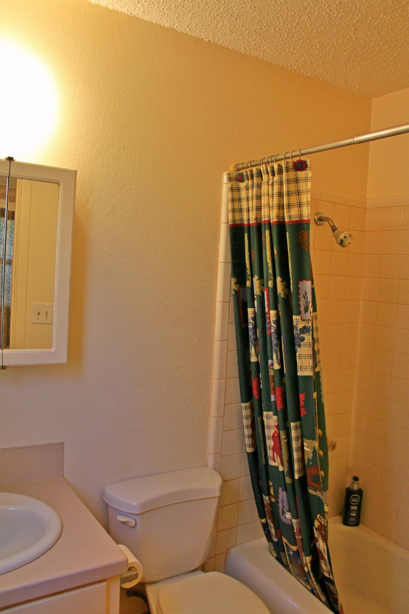 Gallery image 5