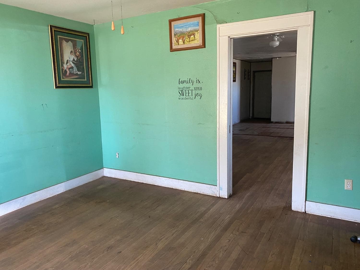 Gallery image 5