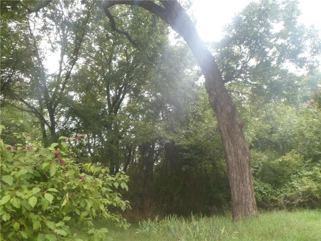 Gallery image 5