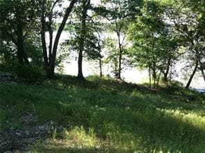 99 White Oak