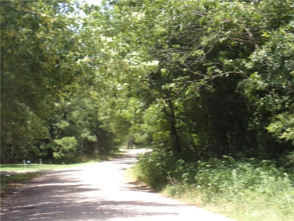 Gallery image 4