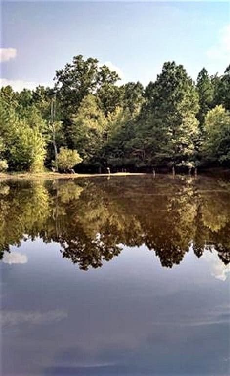 499 County Road 4539