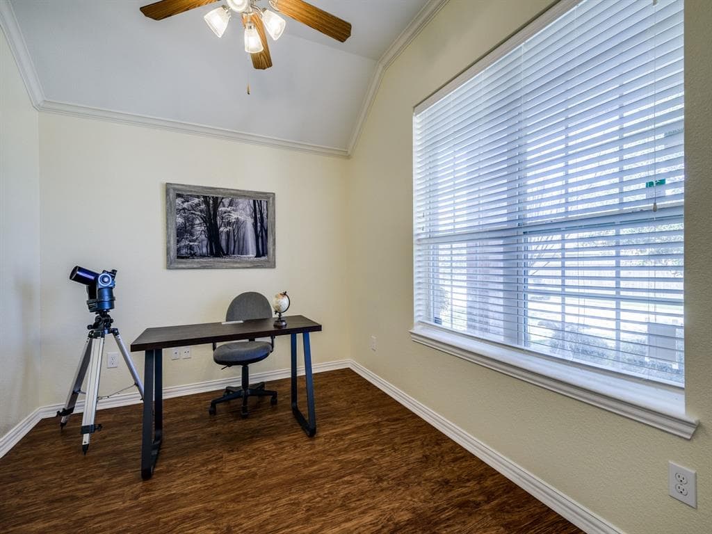 Gallery image 4