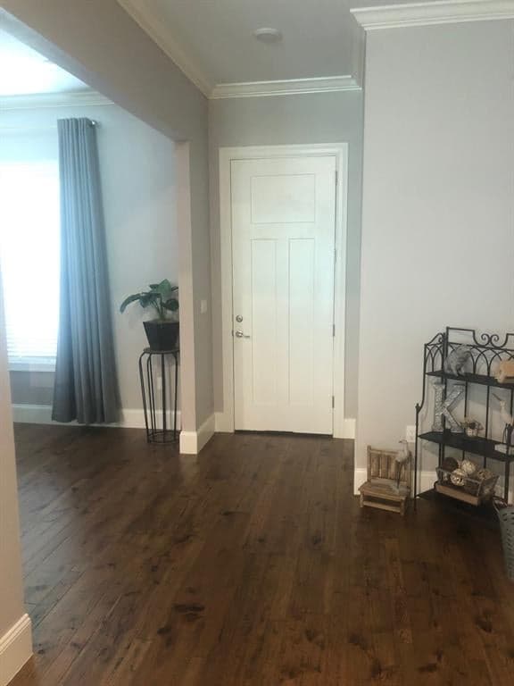 Gallery image 4