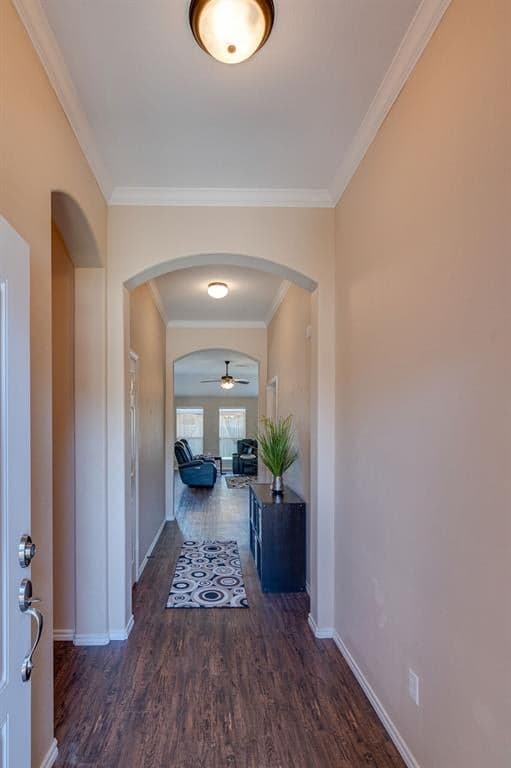 Gallery image 4