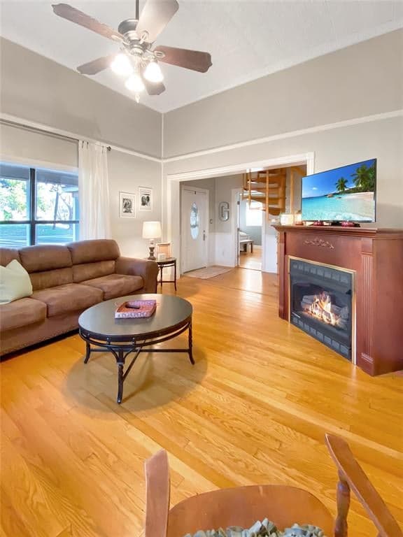 Gallery image 4