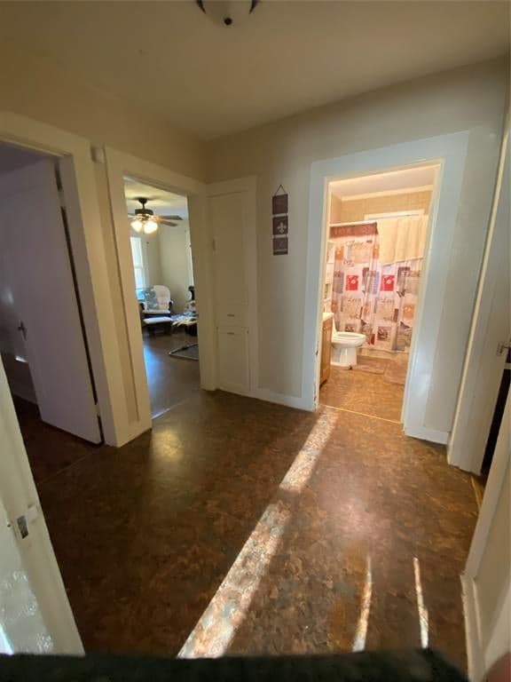 Gallery image 5