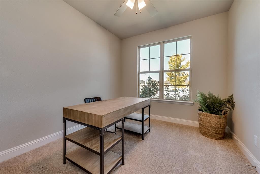 Gallery image 4