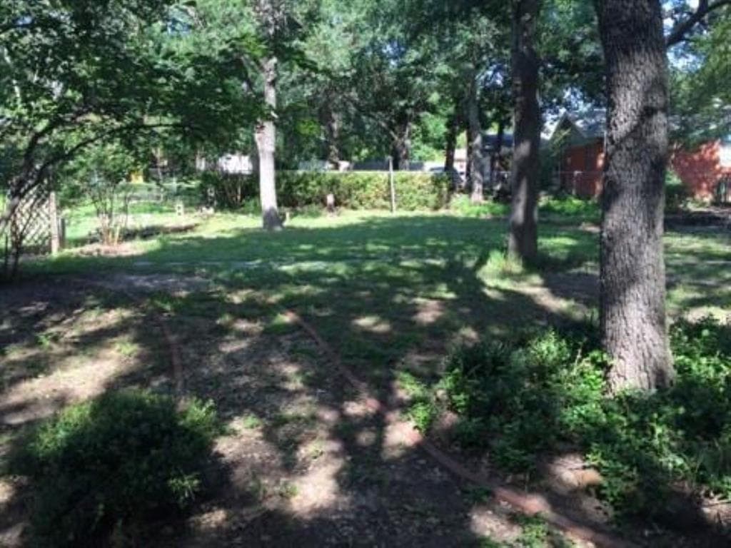 Gallery image 5