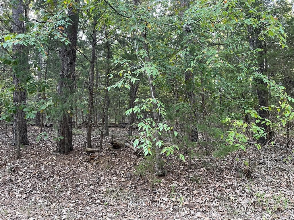 Whispering Pine Trl