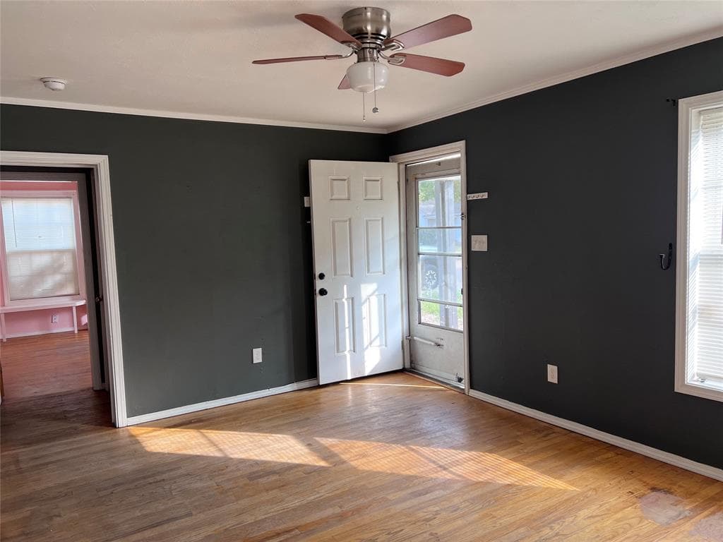 Gallery image 4
