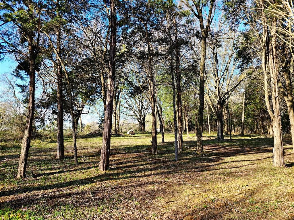 5464 Farm Road 2297
