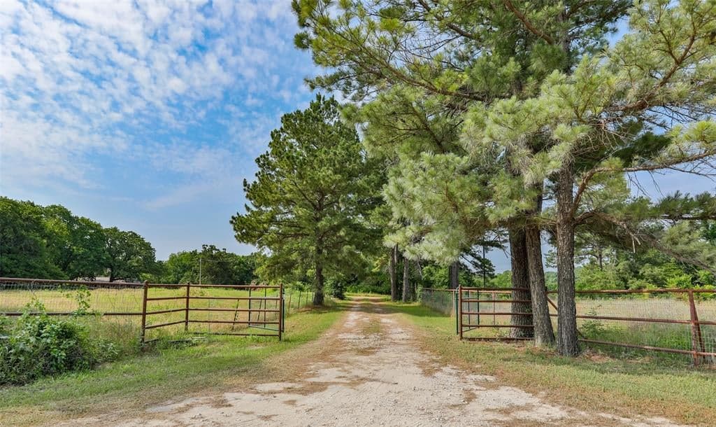 2916 County Road 220