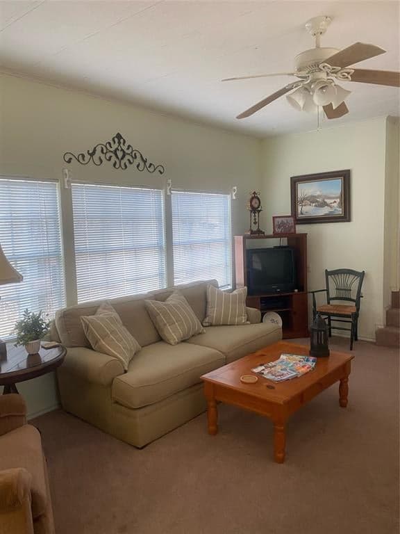 Gallery image 3