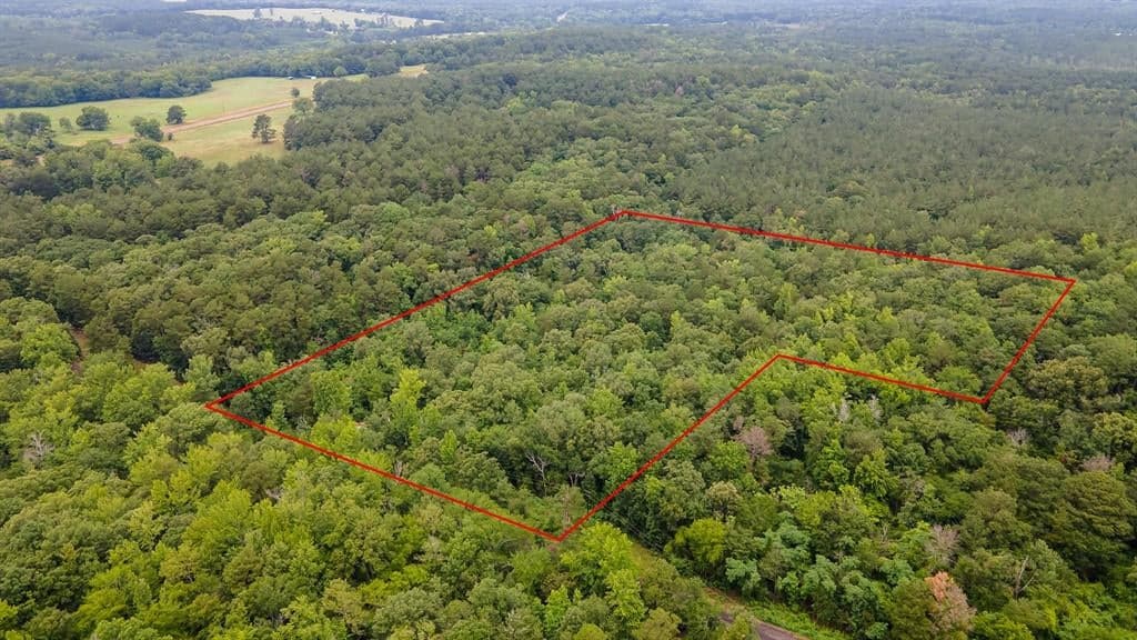337 County Road 3947