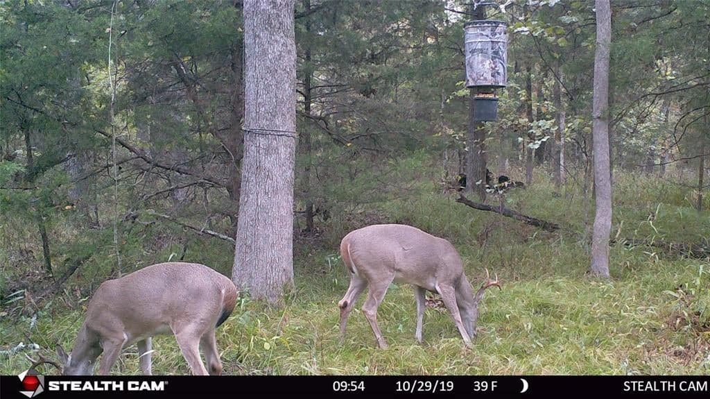 Gallery image 5