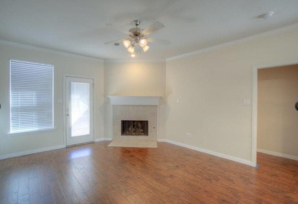 Gallery image 5