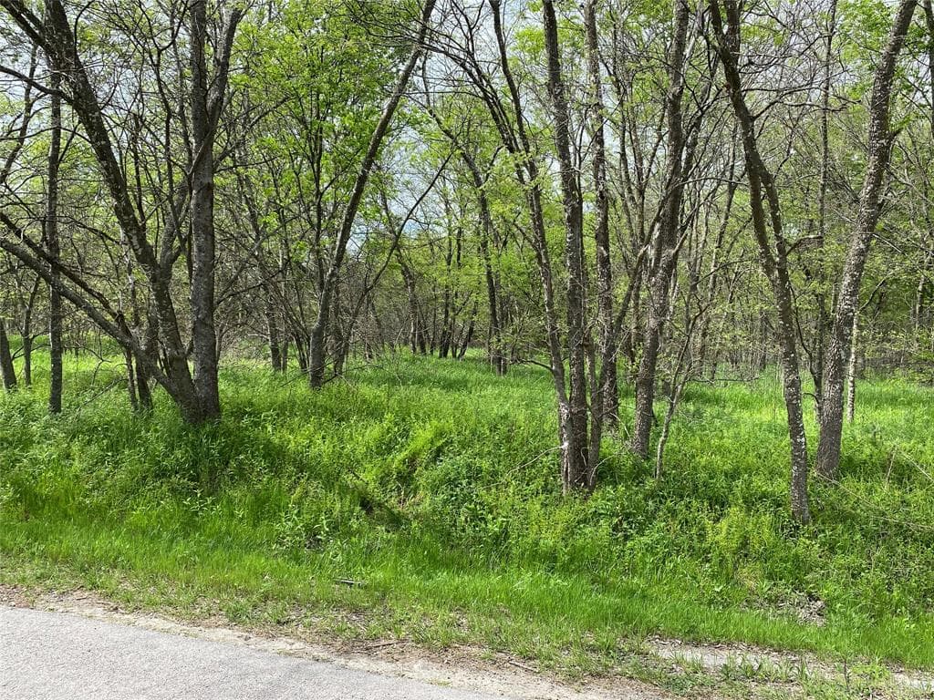 Gallery image 3