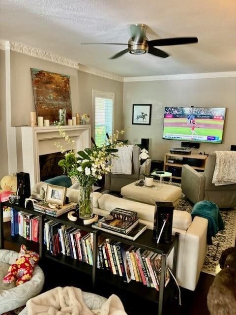 Gallery image 5