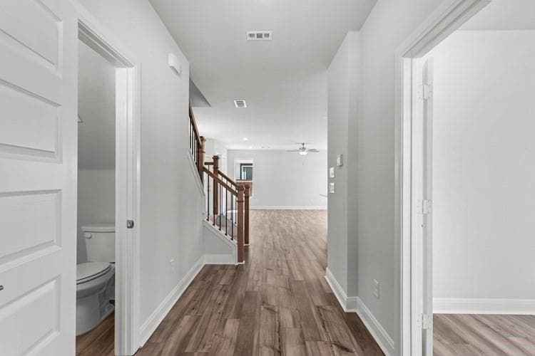 Gallery image 2