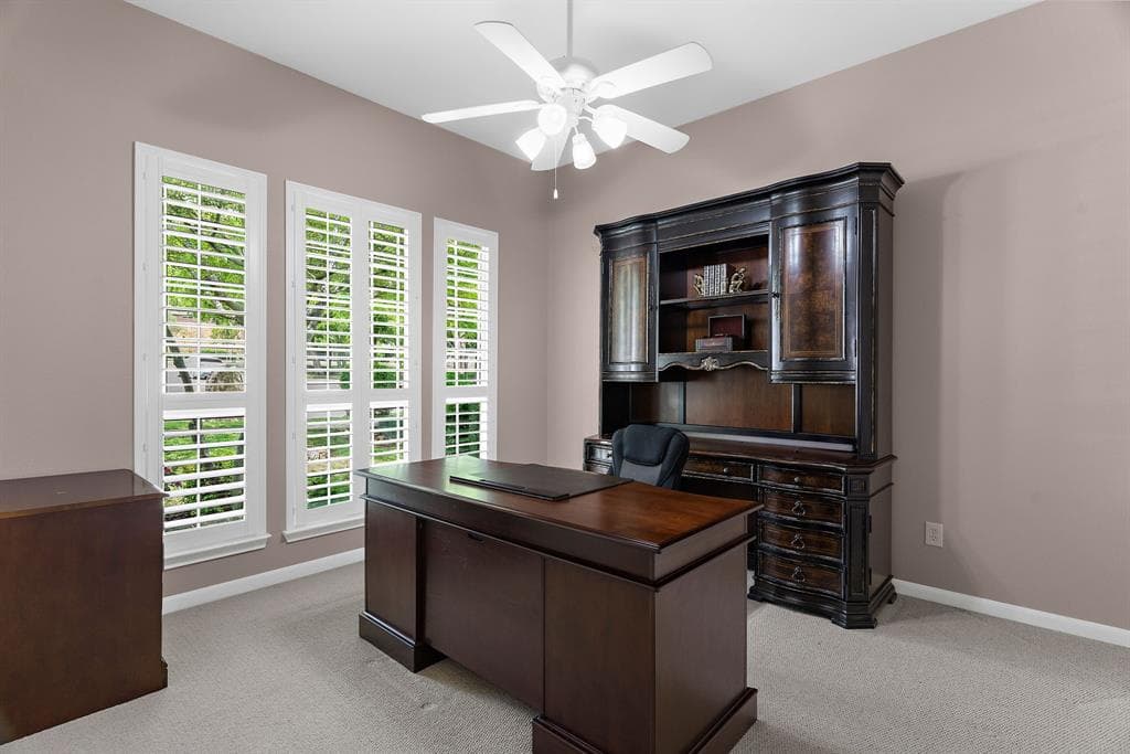 Gallery image 4