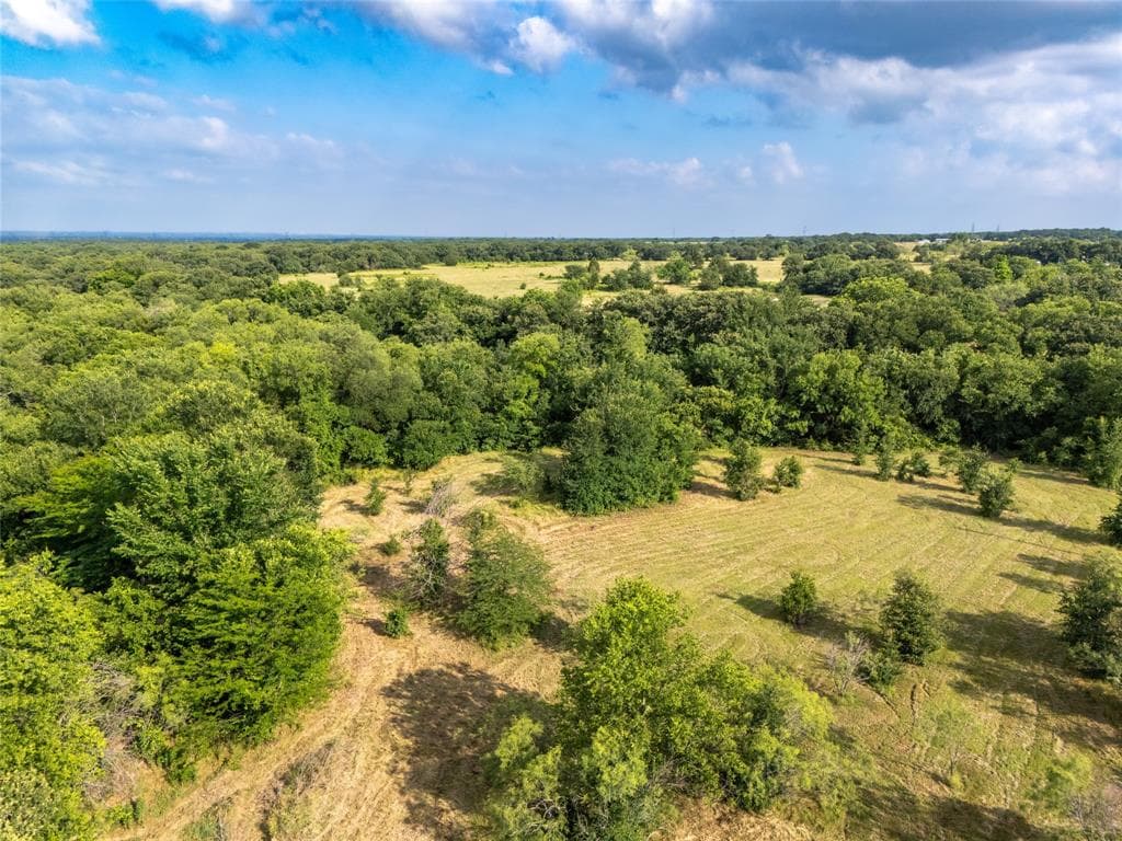 451 County Road 1596