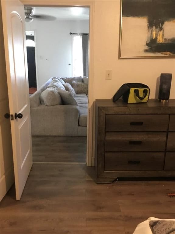 Gallery image 4