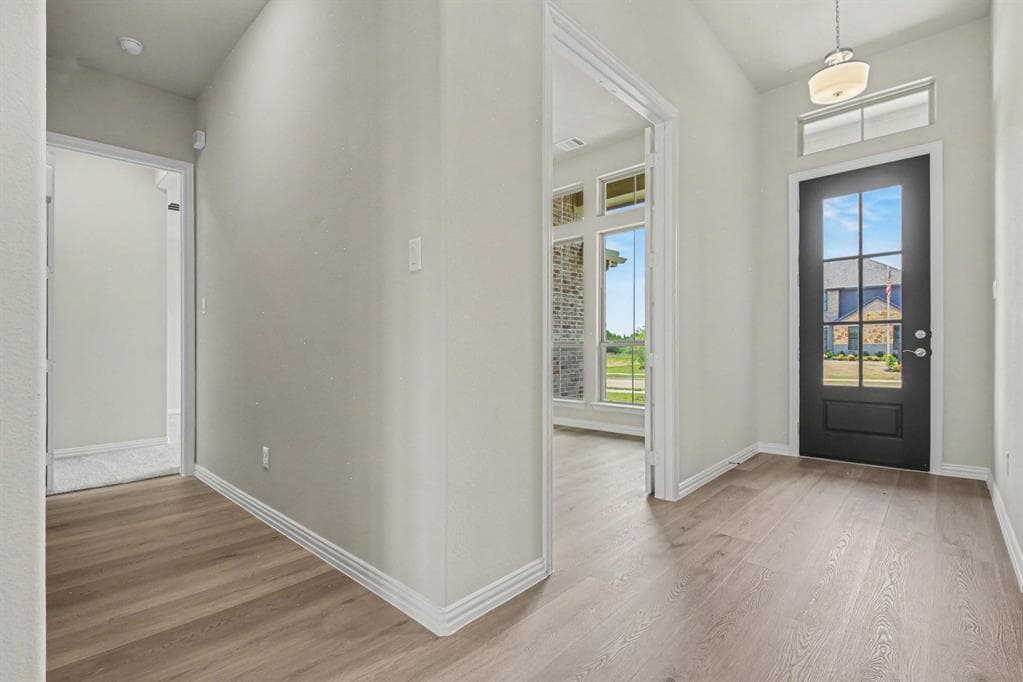 Gallery image 5
