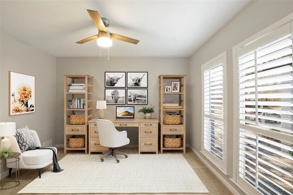 Gallery image 4