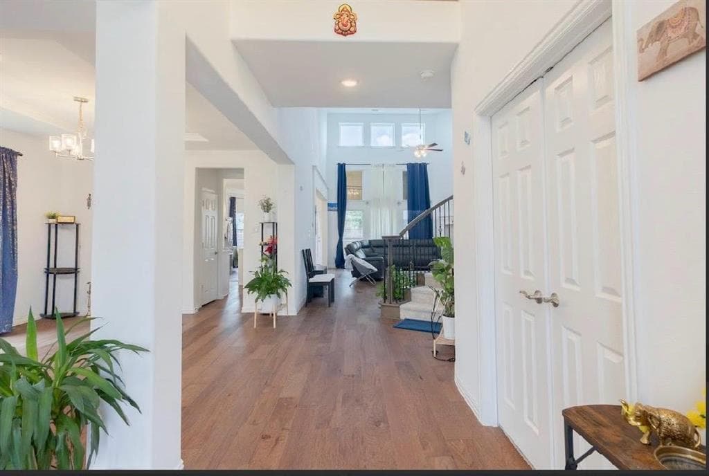Gallery image 3