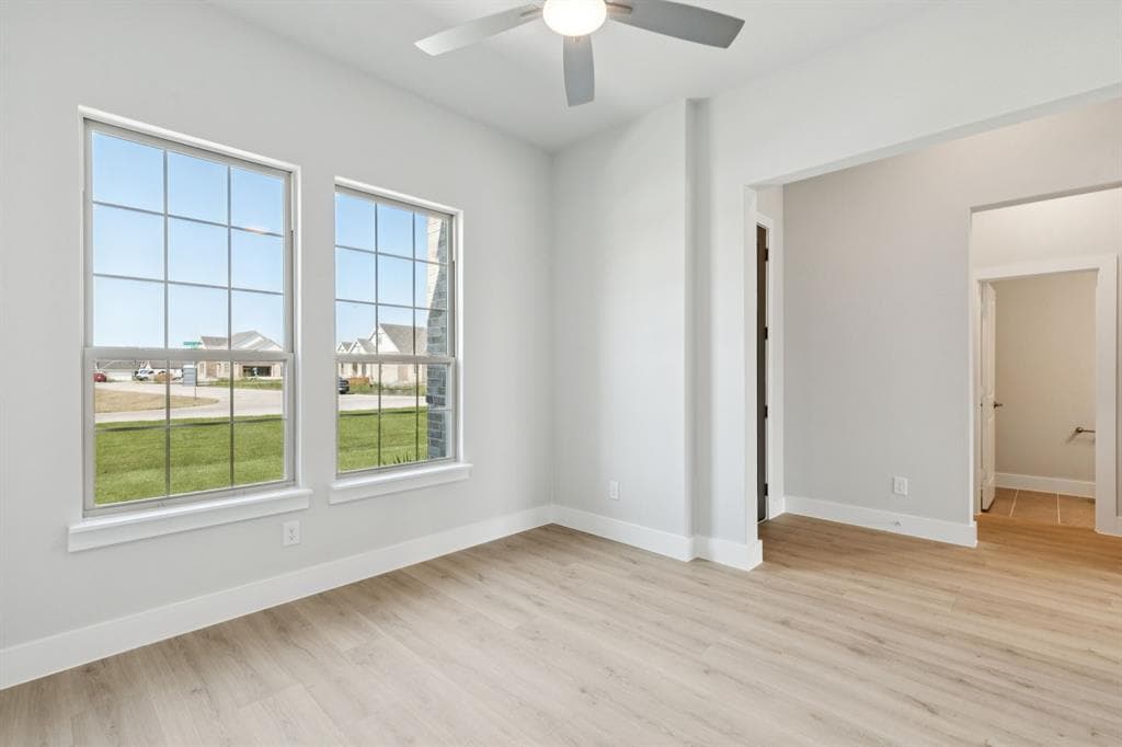 Gallery image 3