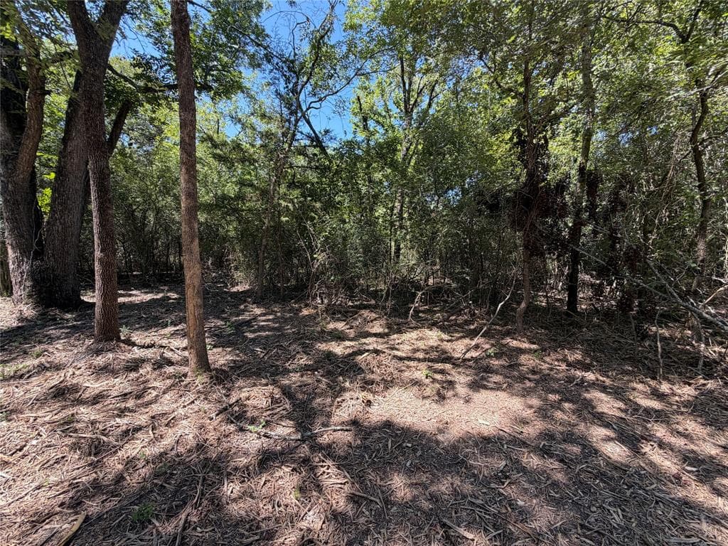 Gallery image 5