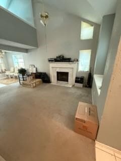 Gallery image 4