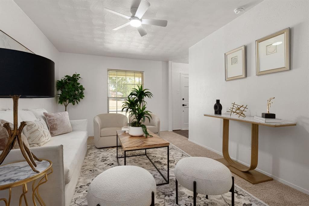 Gallery image 3