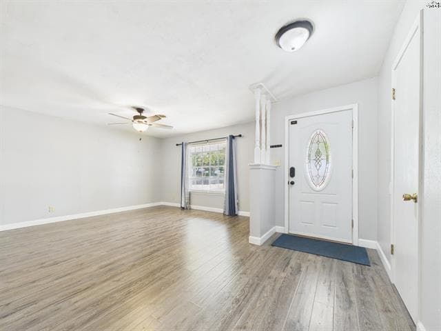 Gallery image 5