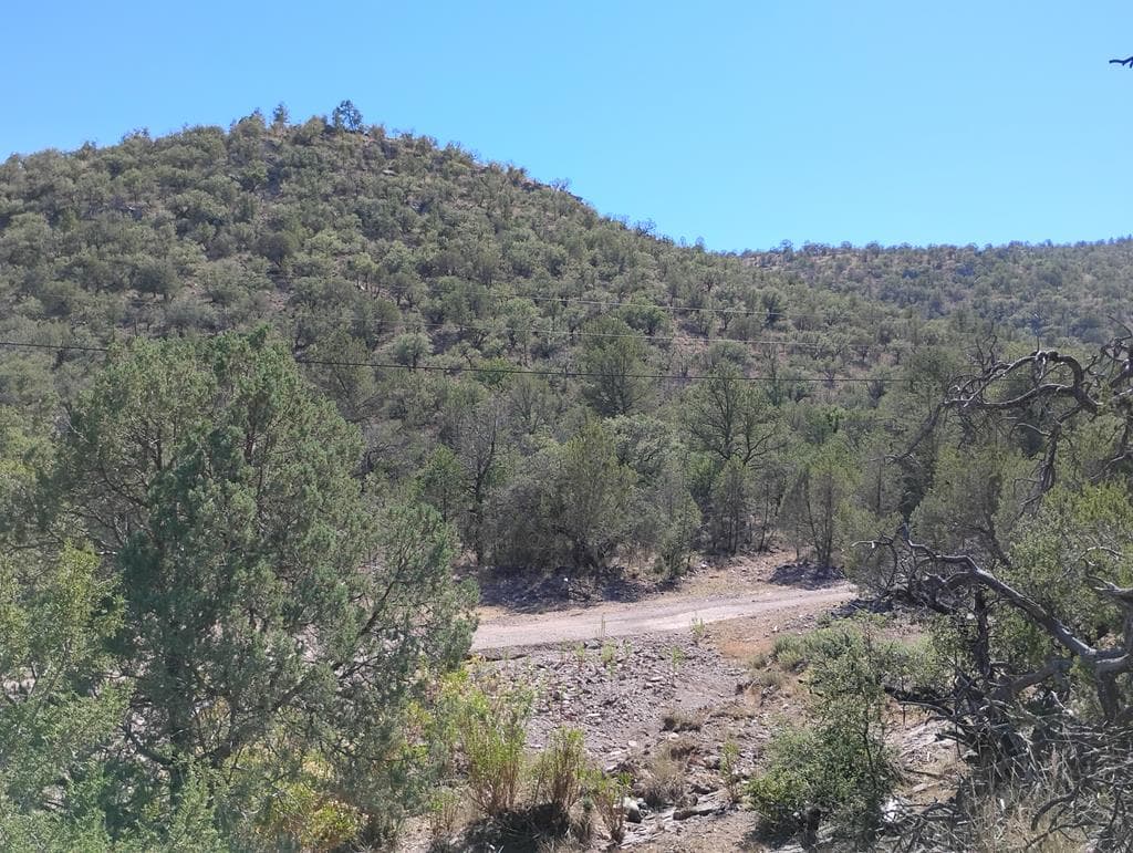 507 Squaw Valley Trl