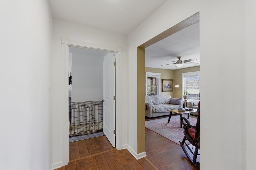 Gallery image 5