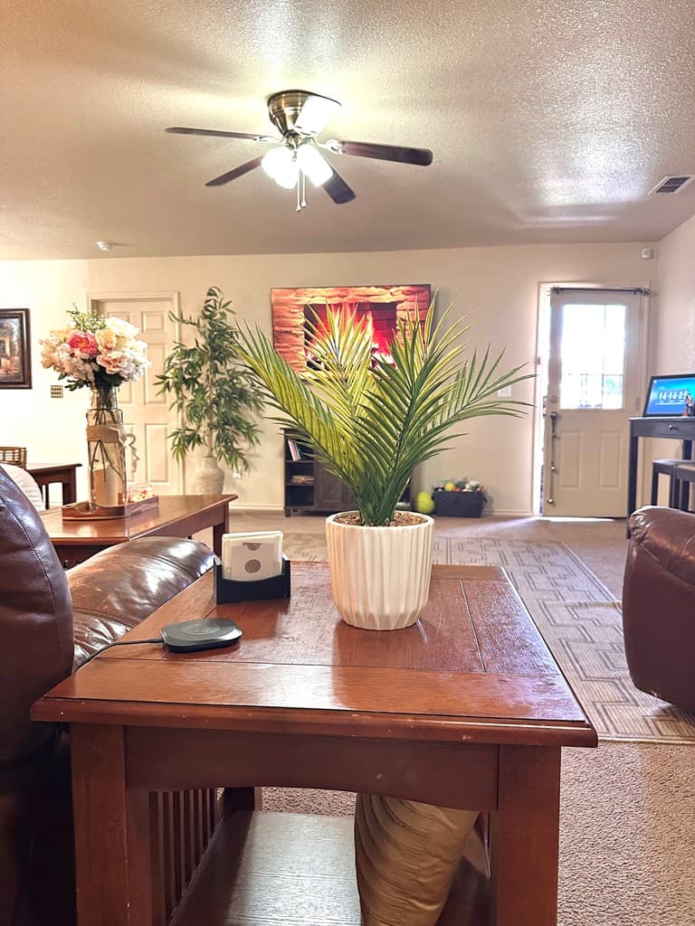 Gallery image 2