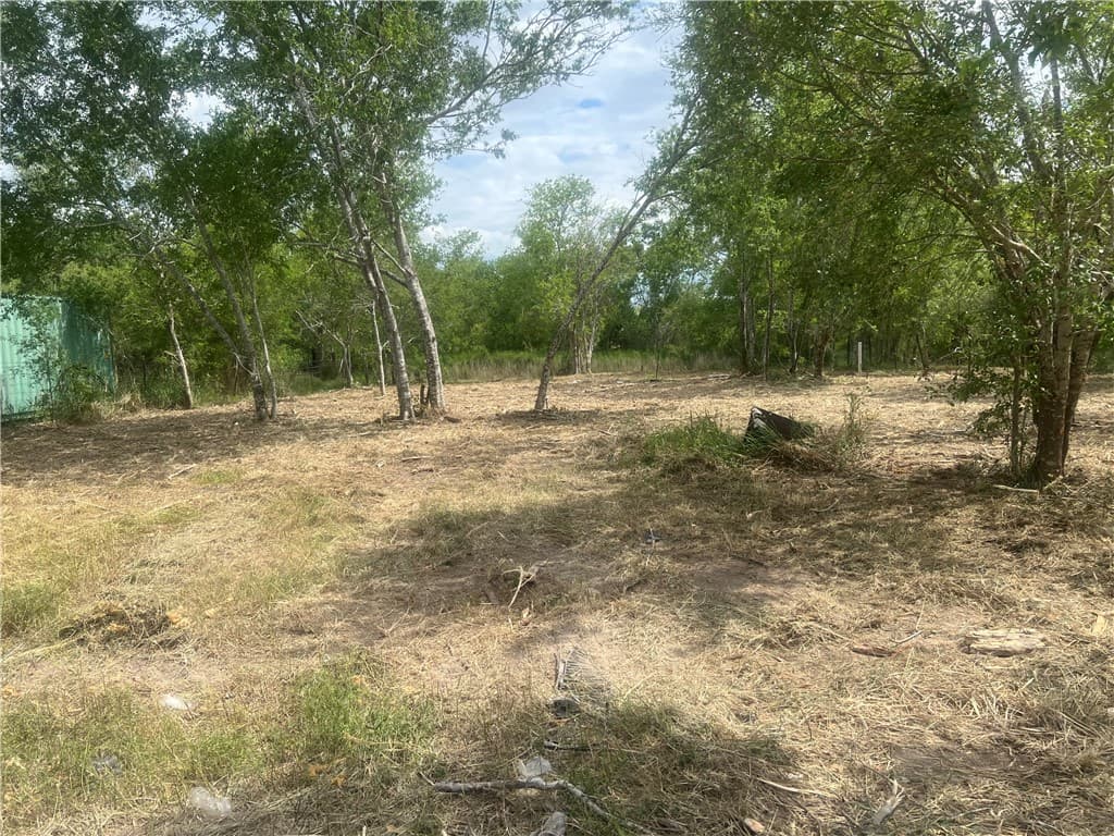 Gallery image 5