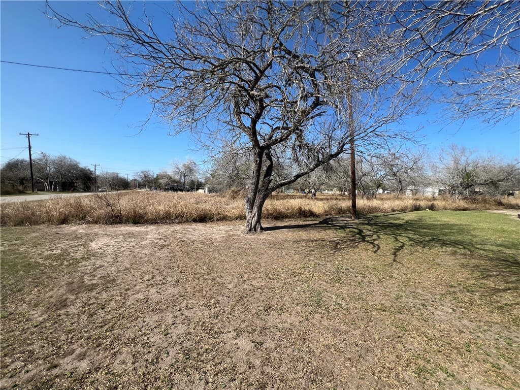 Gallery image 5