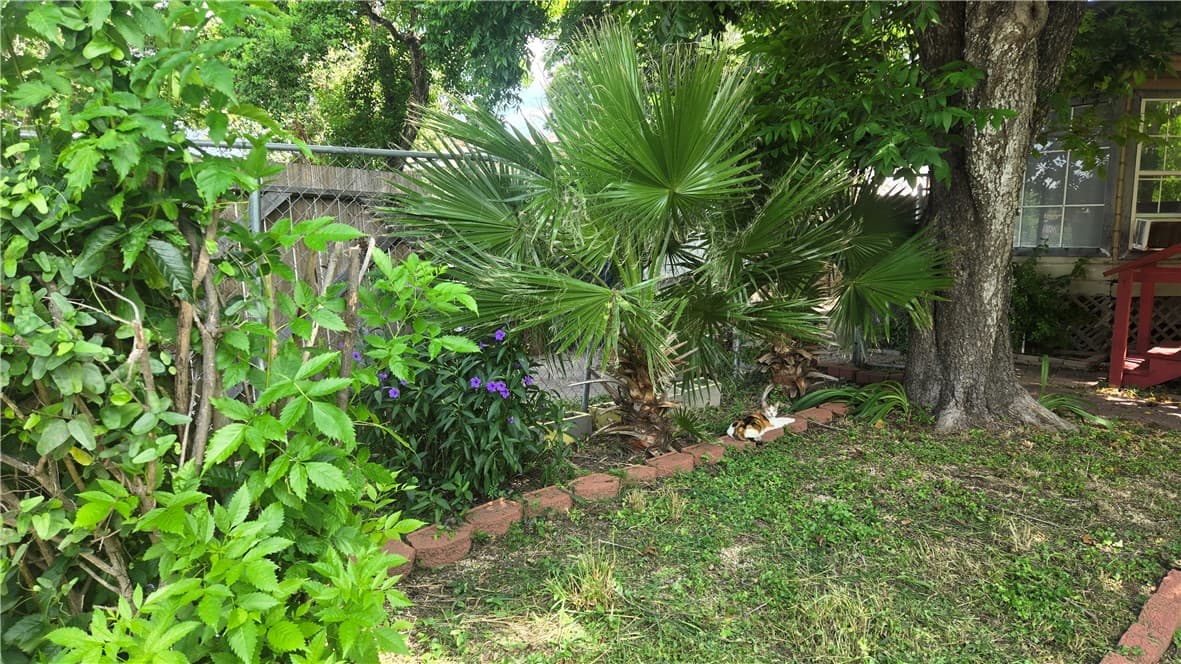 Gallery image 4