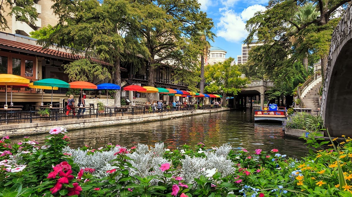 Local Market Pages 3