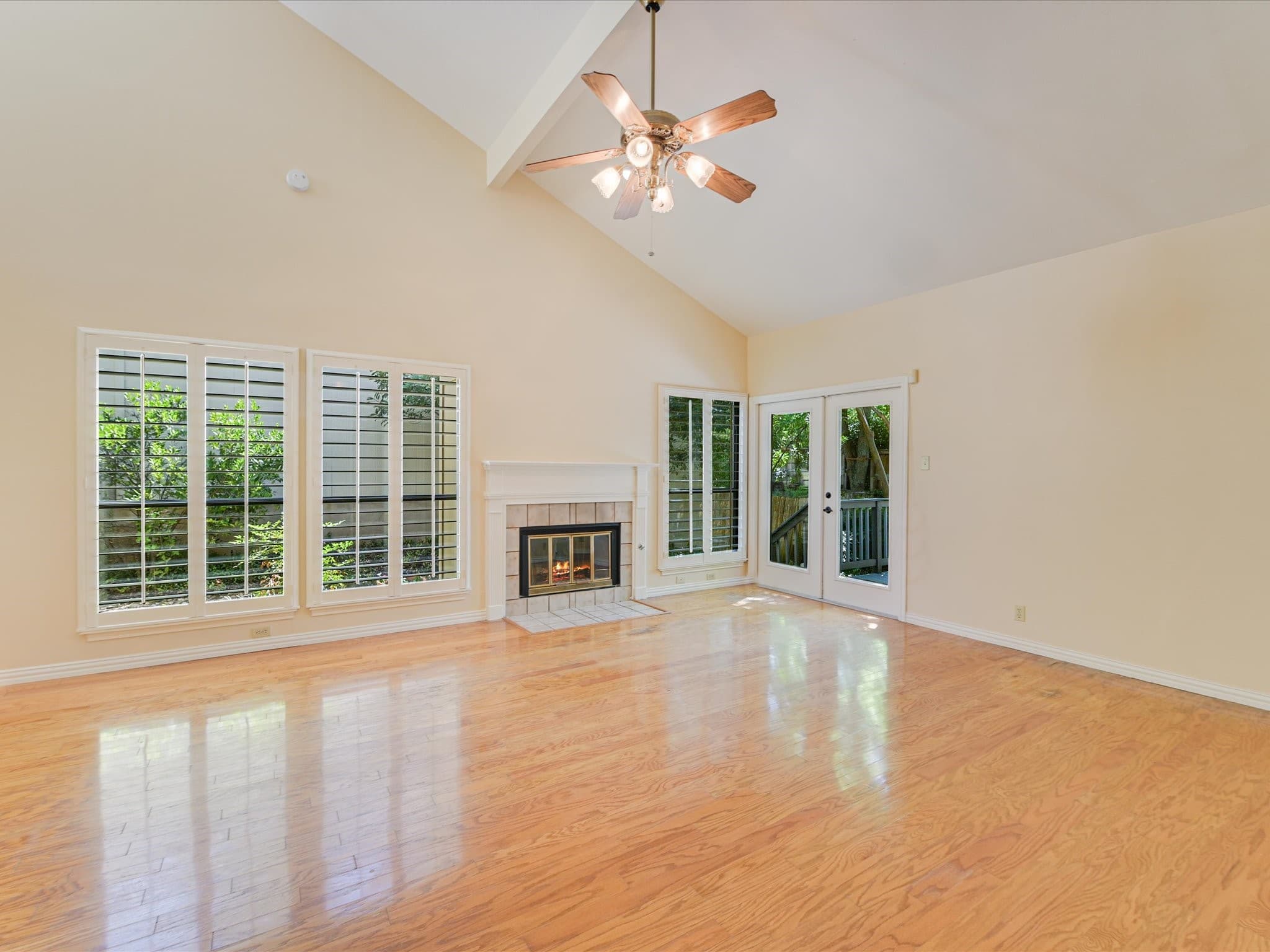 Gallery image 5